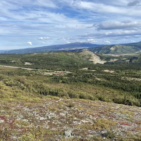 Denali RV Park & Motel