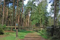 Hollicarrs - Honeycomb Lodge