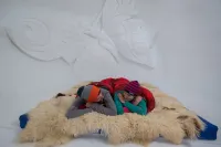 Iglu-Dorf Innsbruck Kuhtai Hotels in Silz