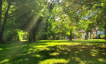 Schloss Sennfeld - Hotel & Veranstaltungsort -