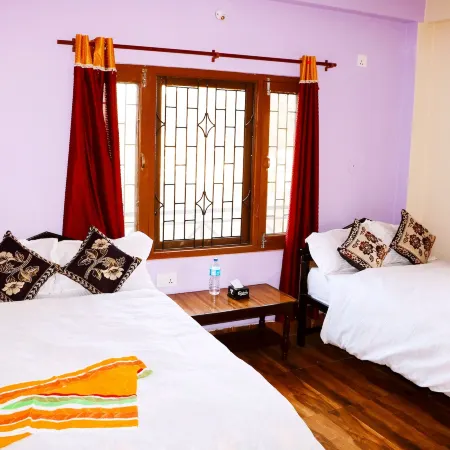 Hotel National Park Sauraha- Homely Stay and Peaceful Location with Jungle Safari Arrangements