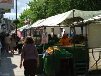 薩爾特本假日風信子小屋 吉斯伯勒酒店