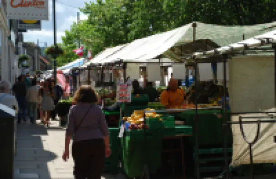 薩爾特本假日風信子小屋