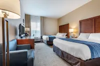 Comfort Inn Apalachin / Binghamton W Route 17 Hotels in Tioga County