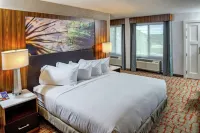 DoubleTree by Hilton Appleton - Wifi