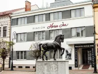 Pension Horse Inn Hotels in Košice II