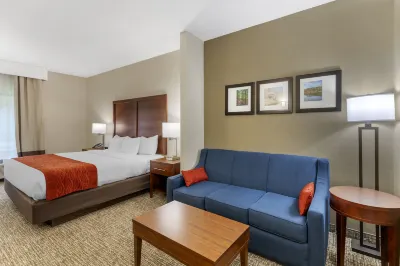 Comfort Inn & Suites Отели в г. Картон