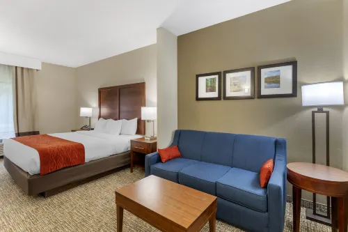 Comfort Inn & Suites Canton Riverstone Area