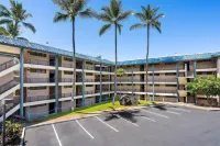 Kona Reef D32