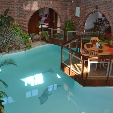 Dolphin View Guesthouse