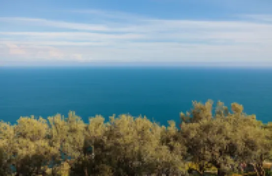 根納羅住宅酒店