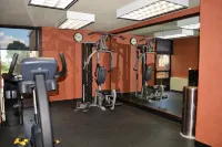 Comfort Inn & Suites Evansville Airport - Gym
