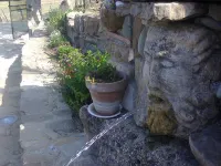 AGRITURISMO SAN PIETRO Hotel a Nicosia