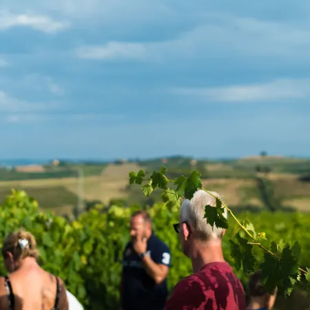 Agriturismo Streda Wine & Country Holiday