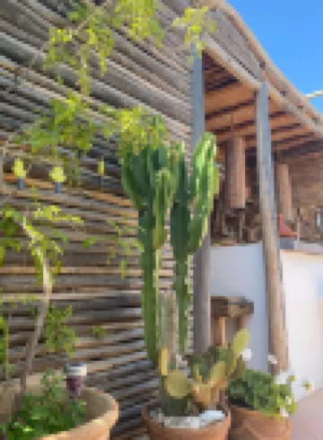 Riad les Orangers d'Alilia Hotel berhampiran Agdal Gardens