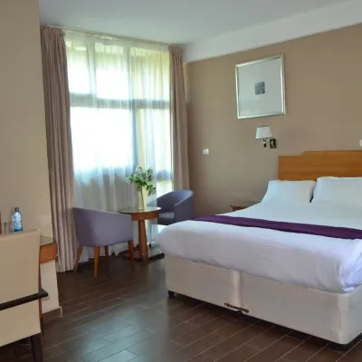 Fasil International Hotel Hotels near Sheger Park