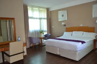 Fasil International Hotel Các khách sạn gần Addis Ababa City Adminstration Micro and Small Enterprise Development Bureau