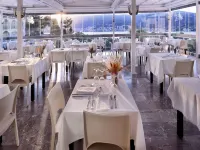 Hotel Punta Hotels in Skiathos