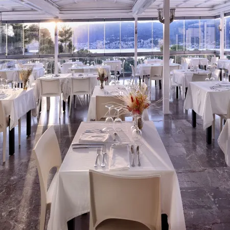 Hotel Punta