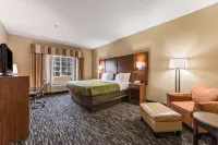 Quality Inn & Suites Hendersonville - Flat Rock - Pysäköinti