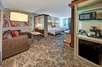 SpringHill Suites Oklahoma City Moore - 3-Star