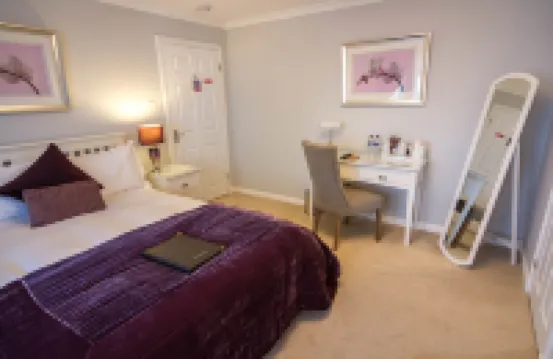 스프링필드 로지 B&B