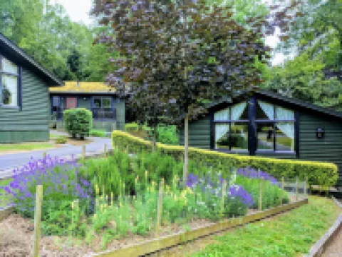 Broome Park Hotel Hotels in 