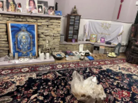 柯萊特休憩酒店 格拉斯頓伯里酒店