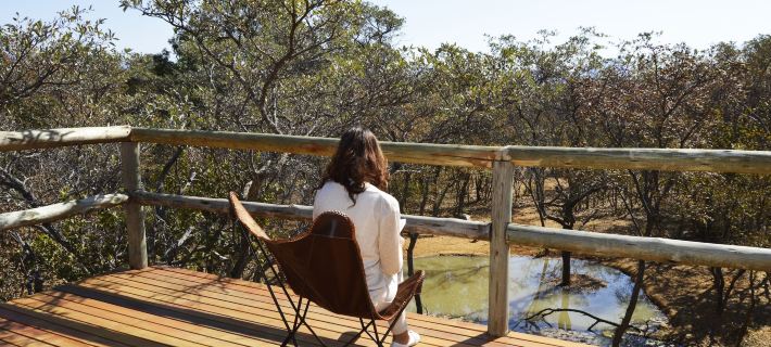 Honeyguide Ranger Camp Hotels in Waterberg District Municipality