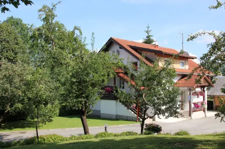 House Marija B&B Отели в г. Селиште Дрежничко