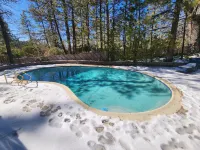 Silver Pines Lodge - Pools