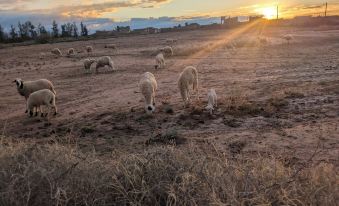 Atlas Farmhouse Marrakesh