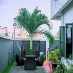 세이프 코트 아파트먼트