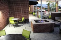 SpringHill Suites Baltimore White Marsh/Middle River Hotels in White Marsh