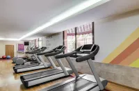 Sheraton Fuerteventura Beach, Golf & Spa Resort - Gym