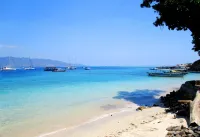 Oceans 5 Dive Resort - Beach