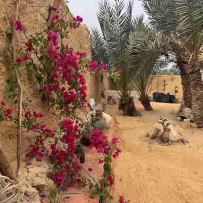 TATRABENT - Eco Friendly retreat in Siwa Hotel Exterior