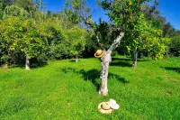 Portico Verde Private Villa with Pool | Corfu - 4-Star