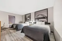 Super 8 by Wyndham Harrison AR Hotels in Harrison