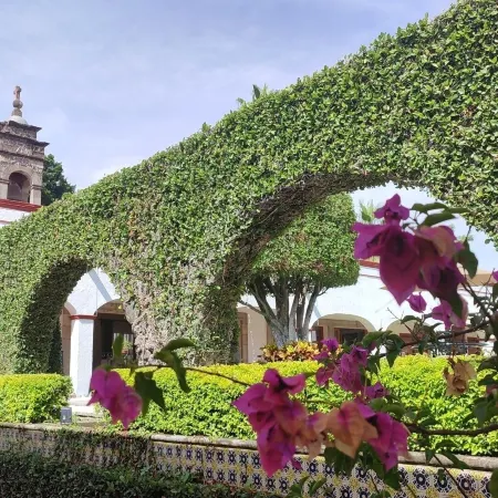 Ex Hacienda Santa Cecilia