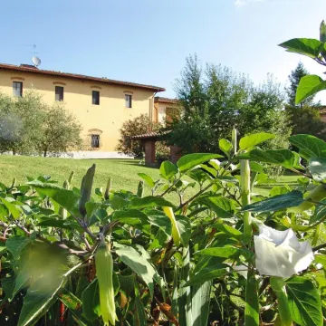 Agriturismo Poggio Al Sole, Vinci