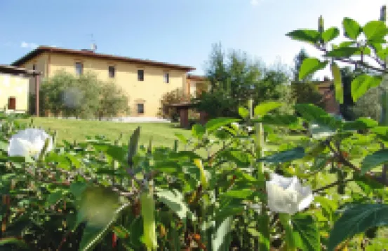 Agriturismo Poggio Al Sole, Vinci