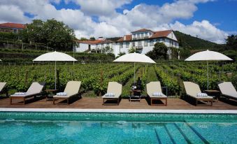 Casa do Santo - Wine & Tourism
