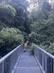 Cosy Cabin in Ancient Rainforest Barrington Tops 던고그 호텔