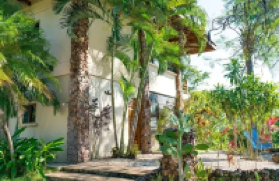 CASA LINDA VISTA / WALK To BEACH & SURFING / PEACEFUL & PRIVATE / SLEEPS 2 to 8