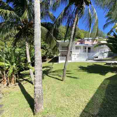 Coco-mango Apt. B, Studio Cosy, vue mer à 250 m de la Plage de la Perle Hotel Exterior