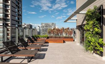 Aloe Vila Nova Conceição