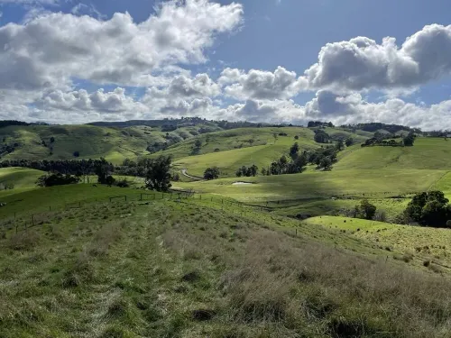 Cozy comfort, spectacular view, central South Gippsland location!! Sleeps 12! Hotels in Leongatha