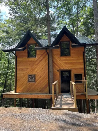 Tree House + Wi-Fi +kitchen +bathroom +2 bedrooms