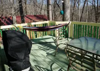 Cabin Near Dale Hollow Lake